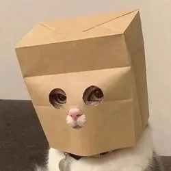 Anonymous Cat logo