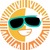 SunSwap V3 logo